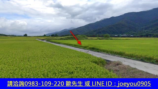 花蓮富里法拍農地-10