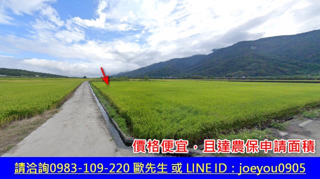 花蓮富里法拍農地-2