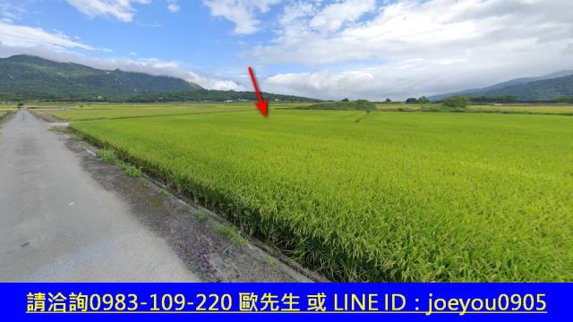 花蓮富里法拍農地-5