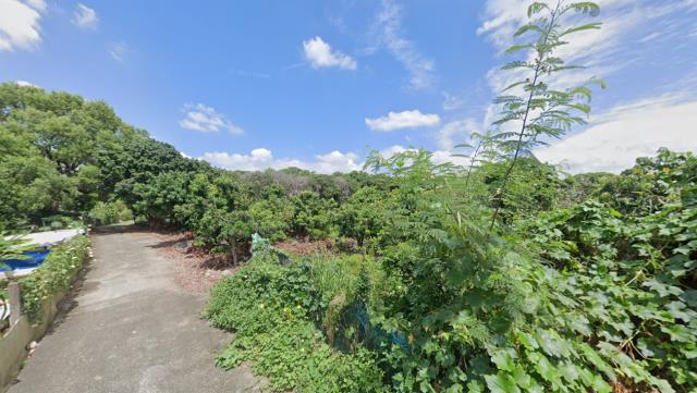 大里農地法拍-6