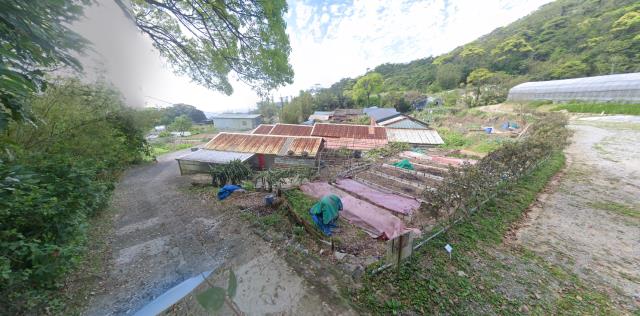 內湖法拍種菜地-3