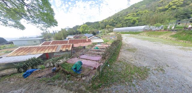 內湖法拍種菜地-6