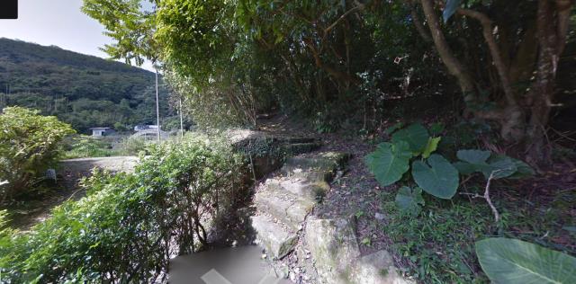 內湖法拍種菜地-0