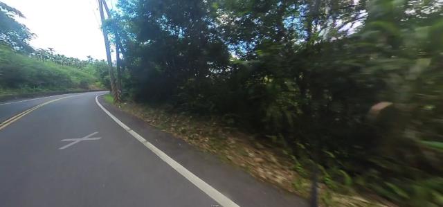 宜蘭大同農地法拍-11