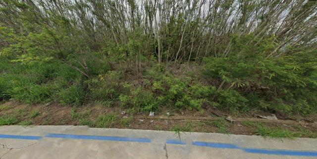 白沙農地拍賣-0