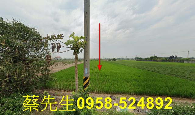 溪湖農地法拍-0
