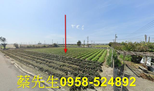 大城農地法拍-14