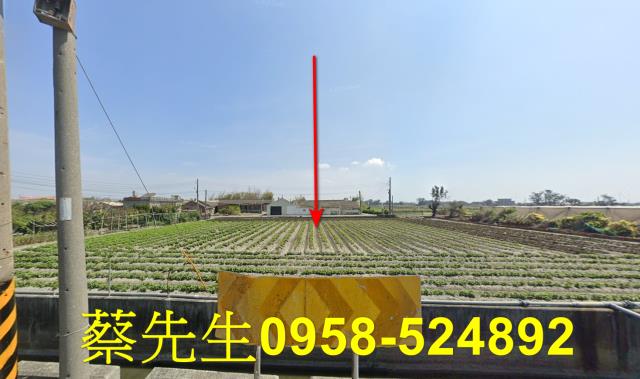 大城農地法拍-0