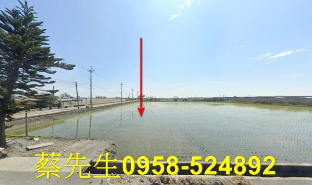大城農地法拍-0