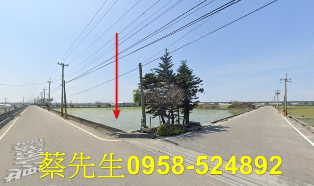 大城農地法拍-4