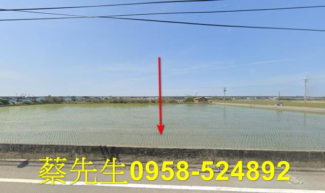 大城農地法拍-5