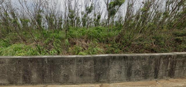 湖西農地法拍-8