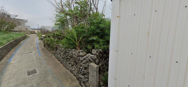 湖西拍賣農地-3