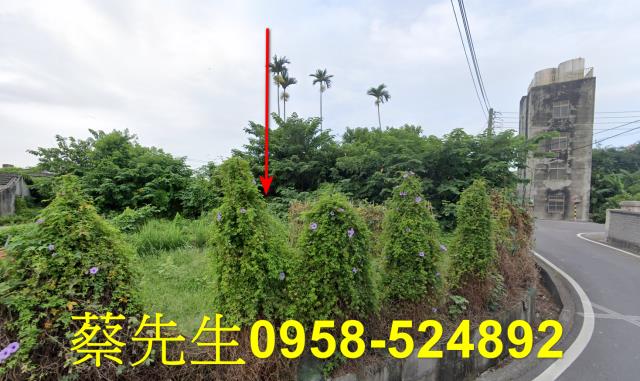 台中清水農地法拍-11