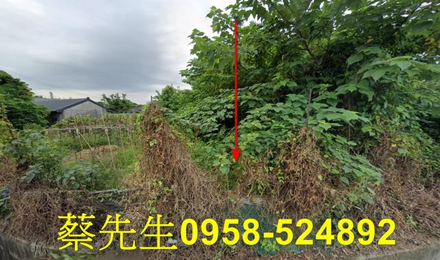 台中清水農地法拍-0