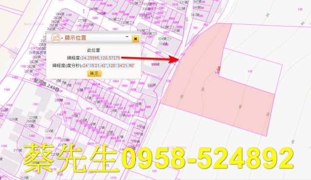 台中沙鹿法拍農地-1