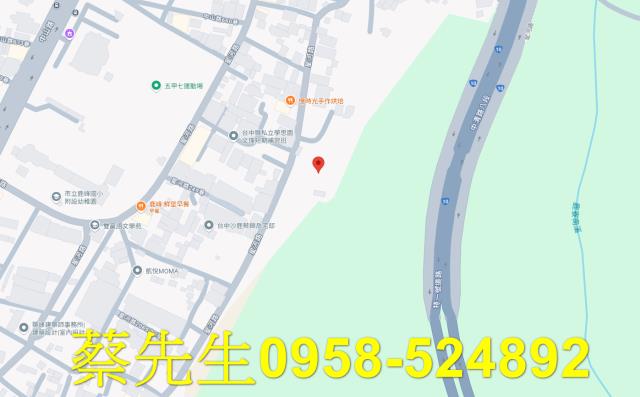 台中沙鹿法拍農地-7