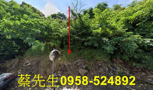 台中沙鹿法拍農地-8