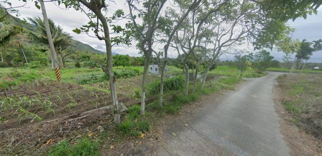 成功農地法拍-3
