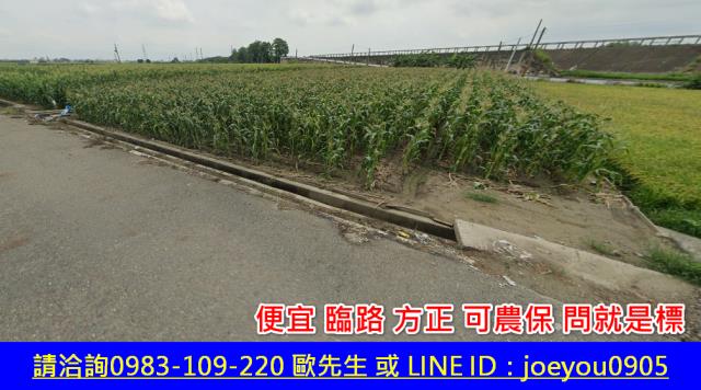 雲林元長法拍農地-9