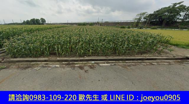 雲林元長法拍農地-3