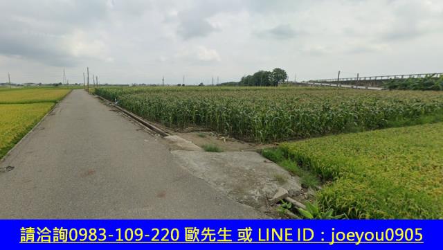 雲林元長法拍農地-5