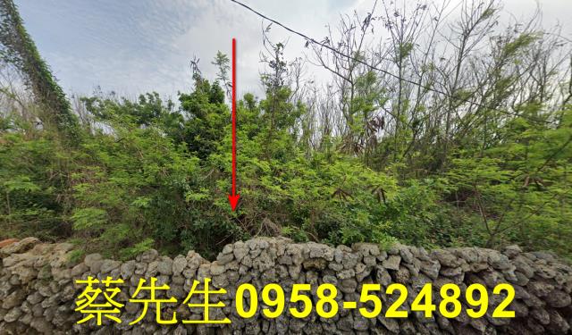 澎湖農地法拍-0