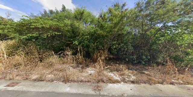 嘉義義竹建地法拍-7