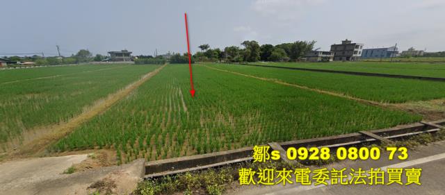新竹新豐農地法拍-1