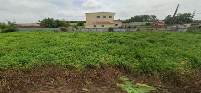 嘉義六腳建地拍賣-7