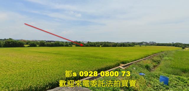 楊梅農地法拍-0
