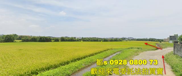 楊梅農地法拍-2