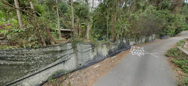 魚池法拍農地-3