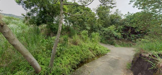 南投名間法拍農地-12