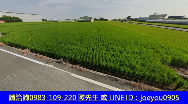 埔鹽法拍農地-10