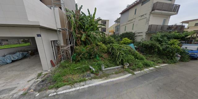 南投法拍建地-7