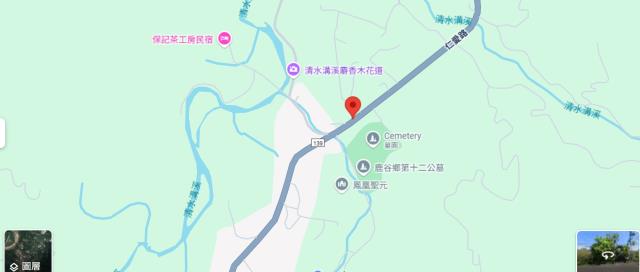南投鹿谷法拍農地-13