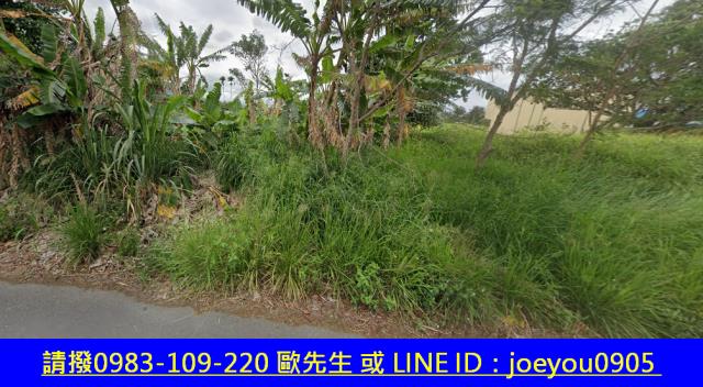 台東法拍農地-10