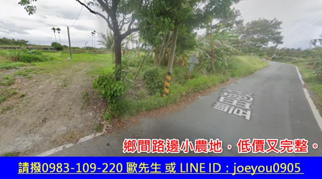 台東法拍農地-2