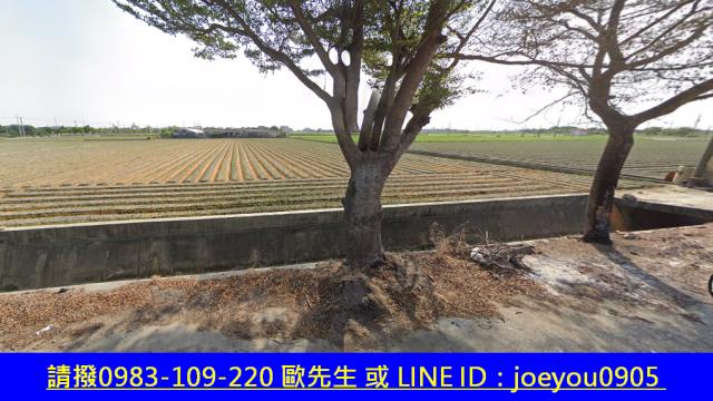 雲林農地法拍-10
