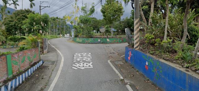 花蓮法拍建地-4