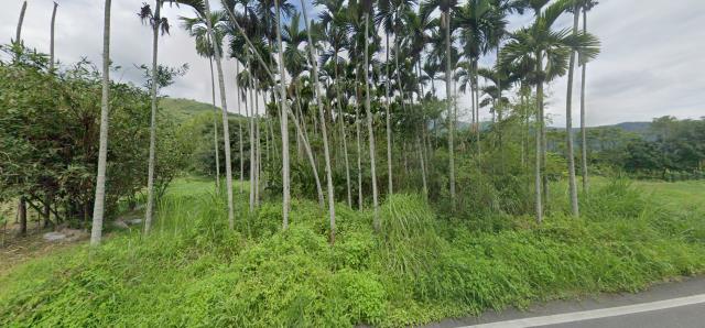 花蓮法拍農地-0