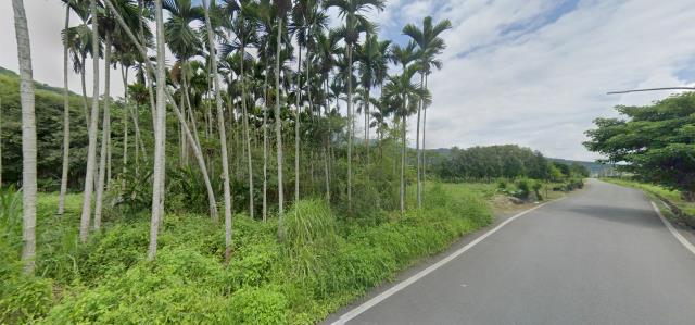 花蓮法拍農地-3