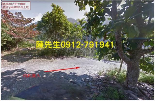 花蓮玉里農地法拍-9
