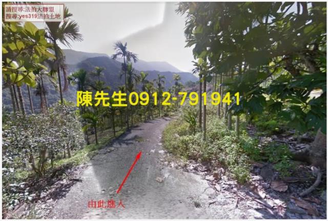 花蓮玉里農地法拍-0