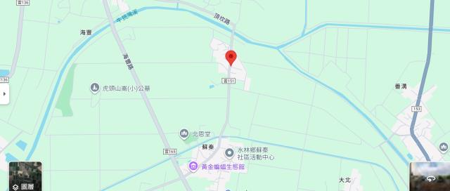 水林法拍建地-13