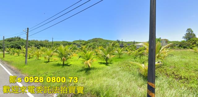 台東台東市農地法拍-1
