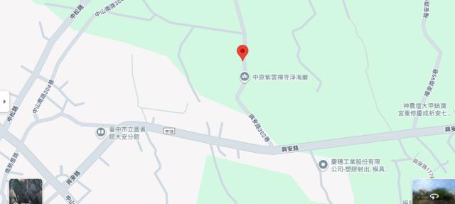 大安區農地法拍-5
