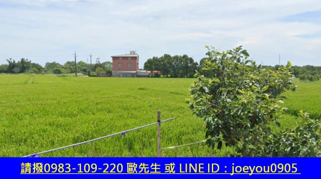 中壢法拍農地-11