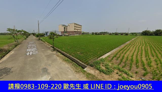 桃園新屋法拍農地-11